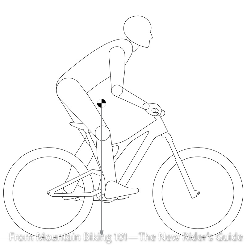 MTB Ready Position with rounded back posture