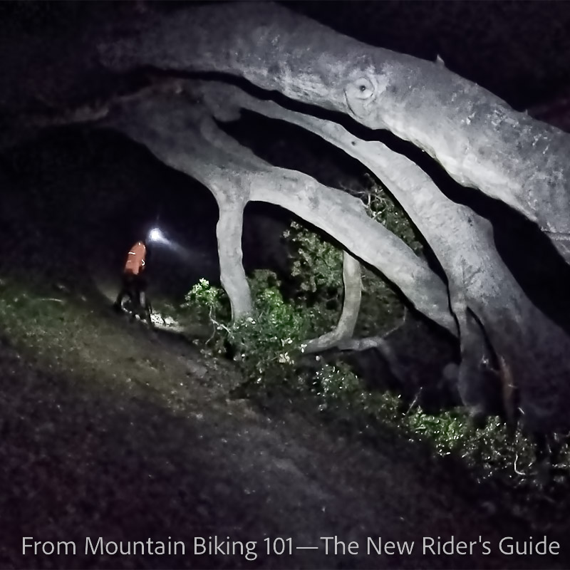 Night ride at Elsmere Canyon