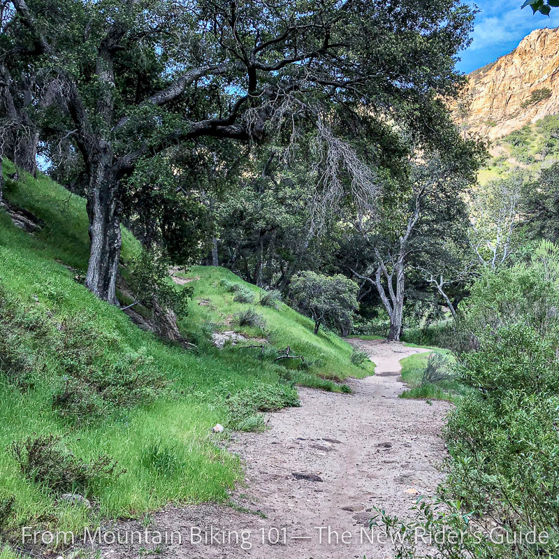 Valley trail at Elsmere Canyon